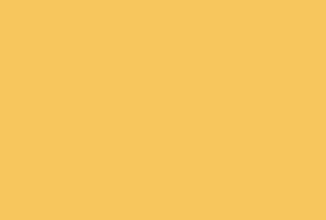 NEF.gif